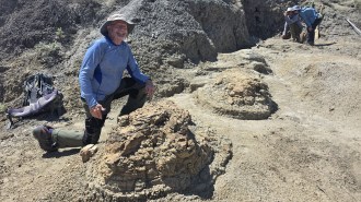 A man wearing a blue long-sleeved shirt and a bucket hat poses on one knee behind a raised T. rex footprint on the ground