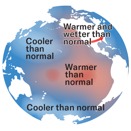 graphic showing the temperature changes