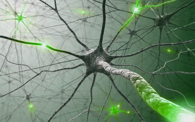 Kratom Concerns, Synthetics, and Bans kratom