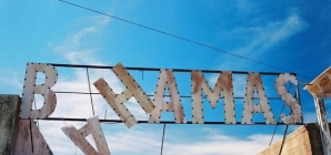 Sharks in Bahamas Drugged by Marine Pollution