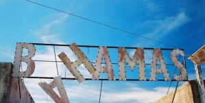 Sharks in Bahamas Drugged by Marine Pollution