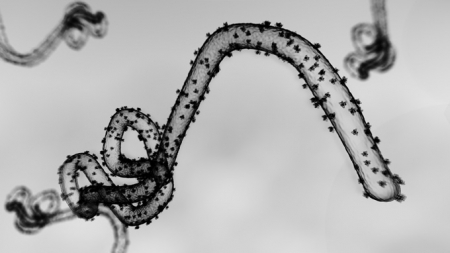 Curbing Congo’s Ebola outbreak is hampered by unknowns about the virus