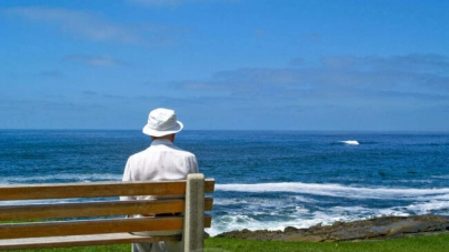 Mantra of a Wise Old Fart Who Is Closer to 80 Than 70